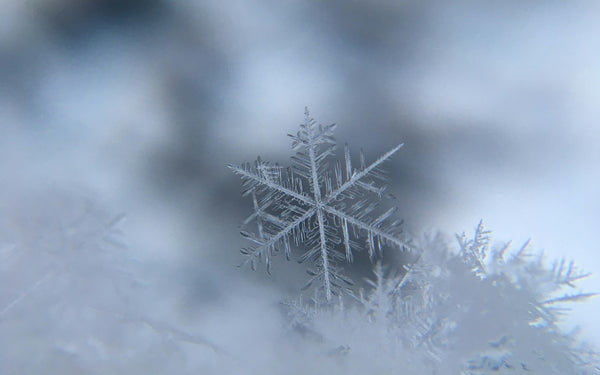 snowflake crystal resting on frost