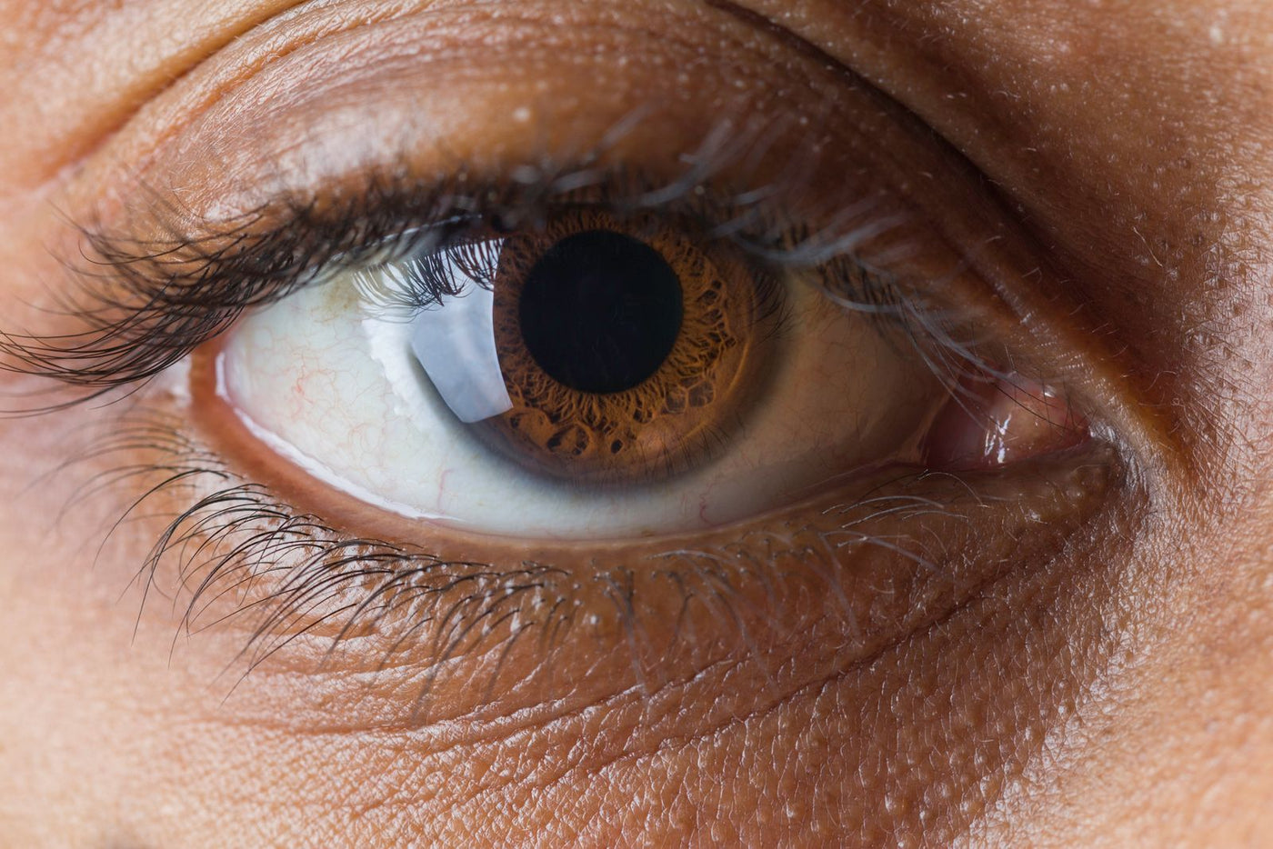 Macro close-up of a dark brown human eye