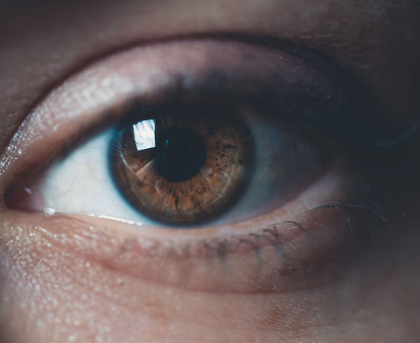 Macro photo of a brown eye with light reflection on the iris