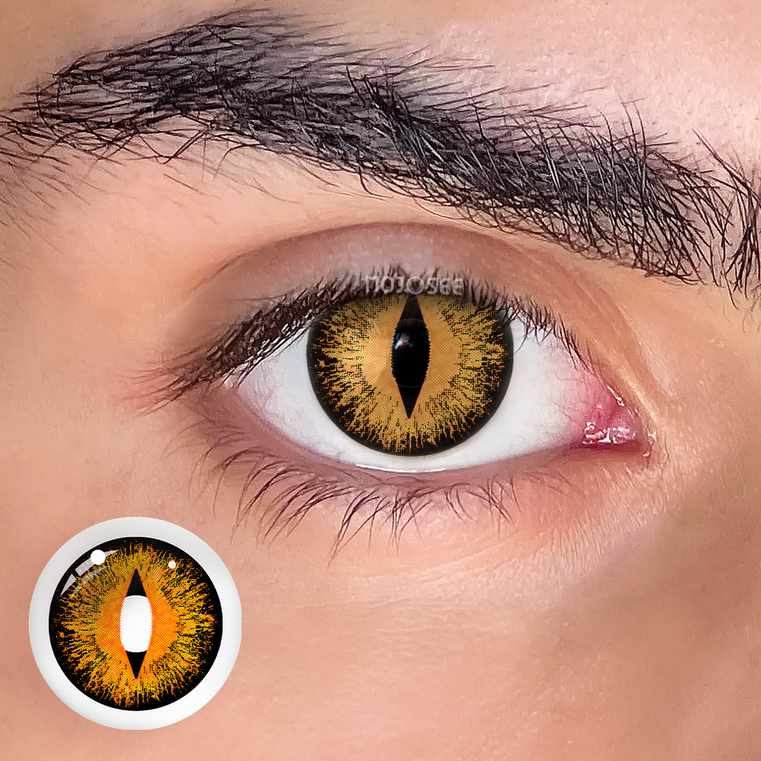 Lizard Eye Brown Colored Contact Lenses for Men