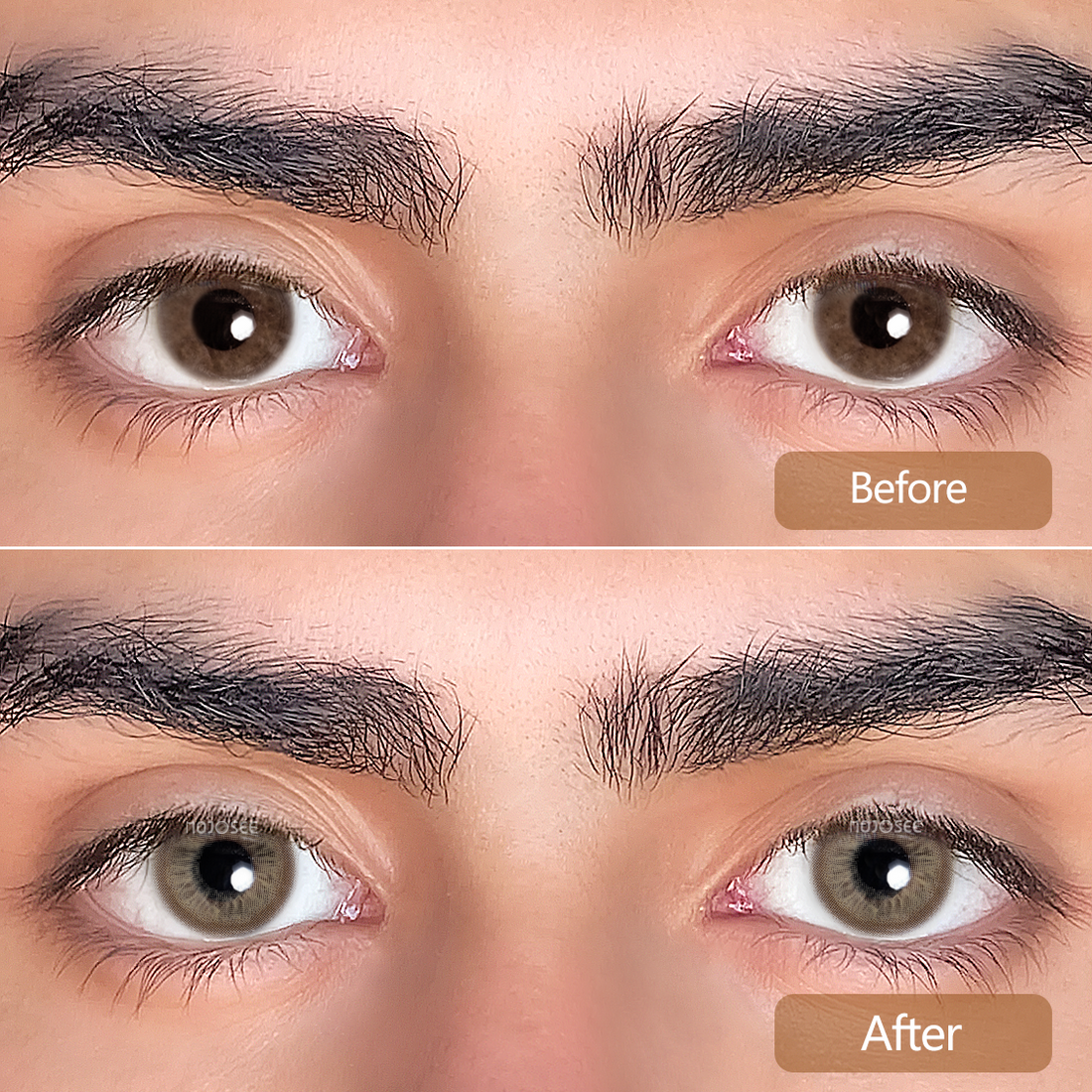 Halo Hazel-b Colored Contact Lenses