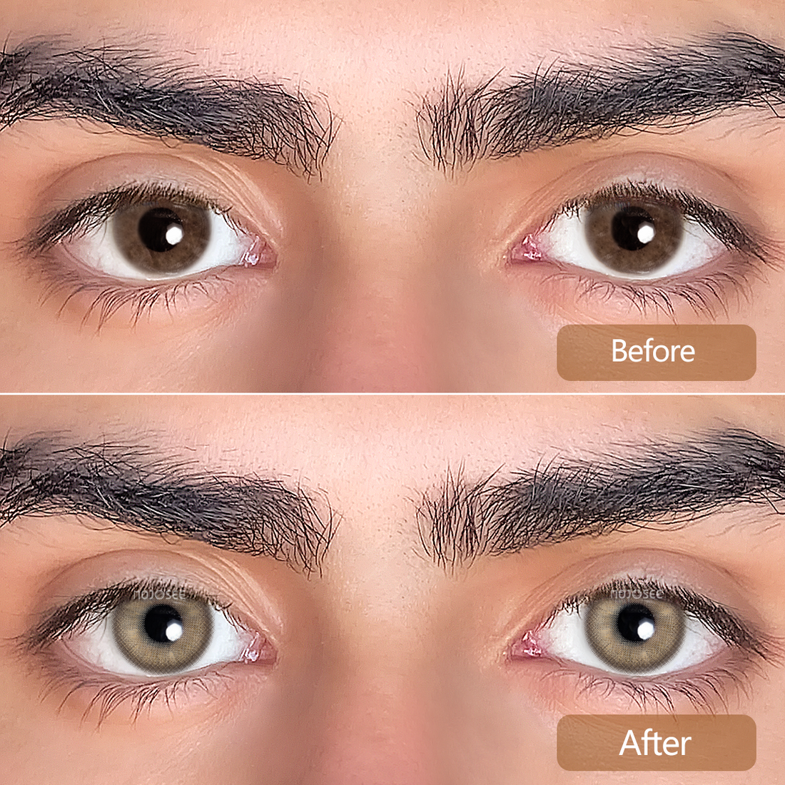 Hybrid Brown Colored Contact Lenses for Men