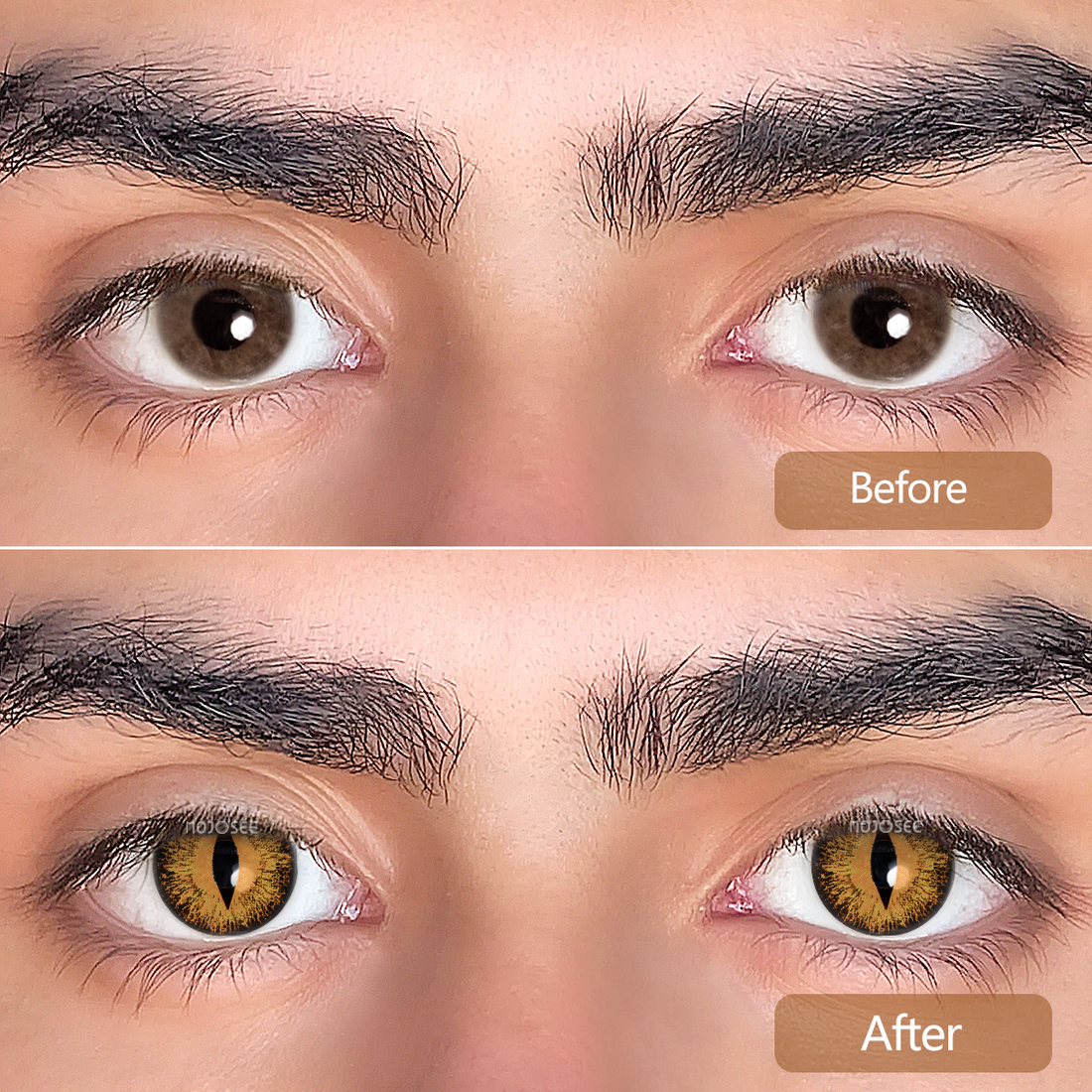 Lizard Eye Brown Colored Contact Lenses for Men