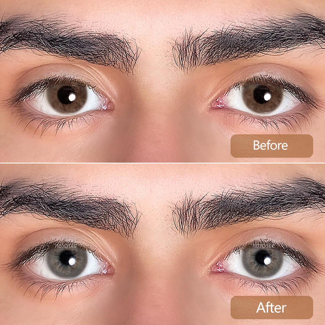 Wing Gray Colored Contact Lenses for Men