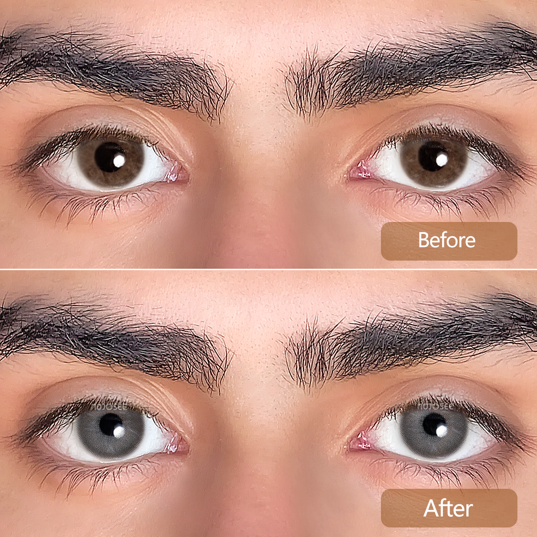 Muses Gray Colored Contact Lenses for Men