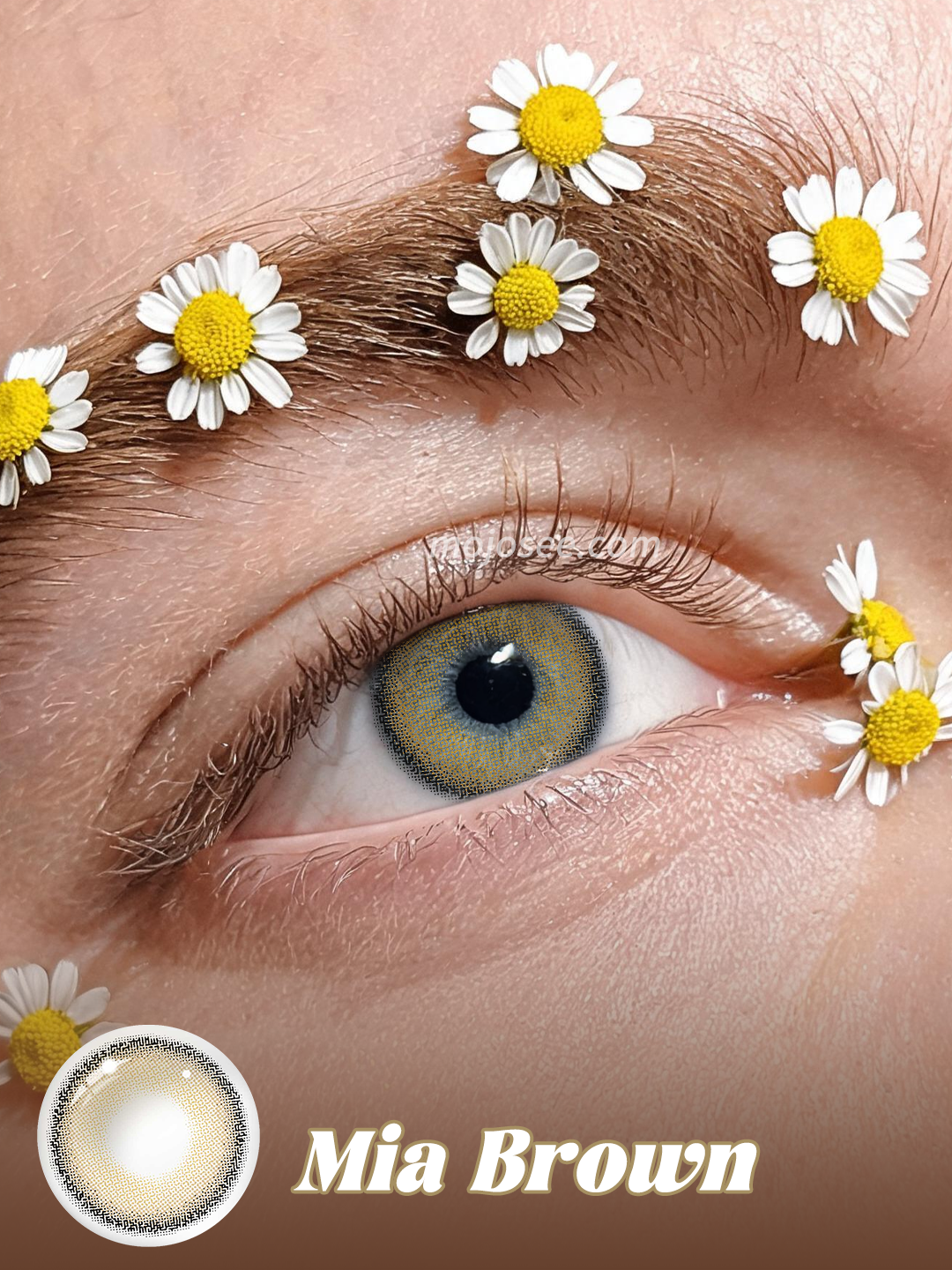 Mia Brown colored contact lenses worn on eye – Mojosee