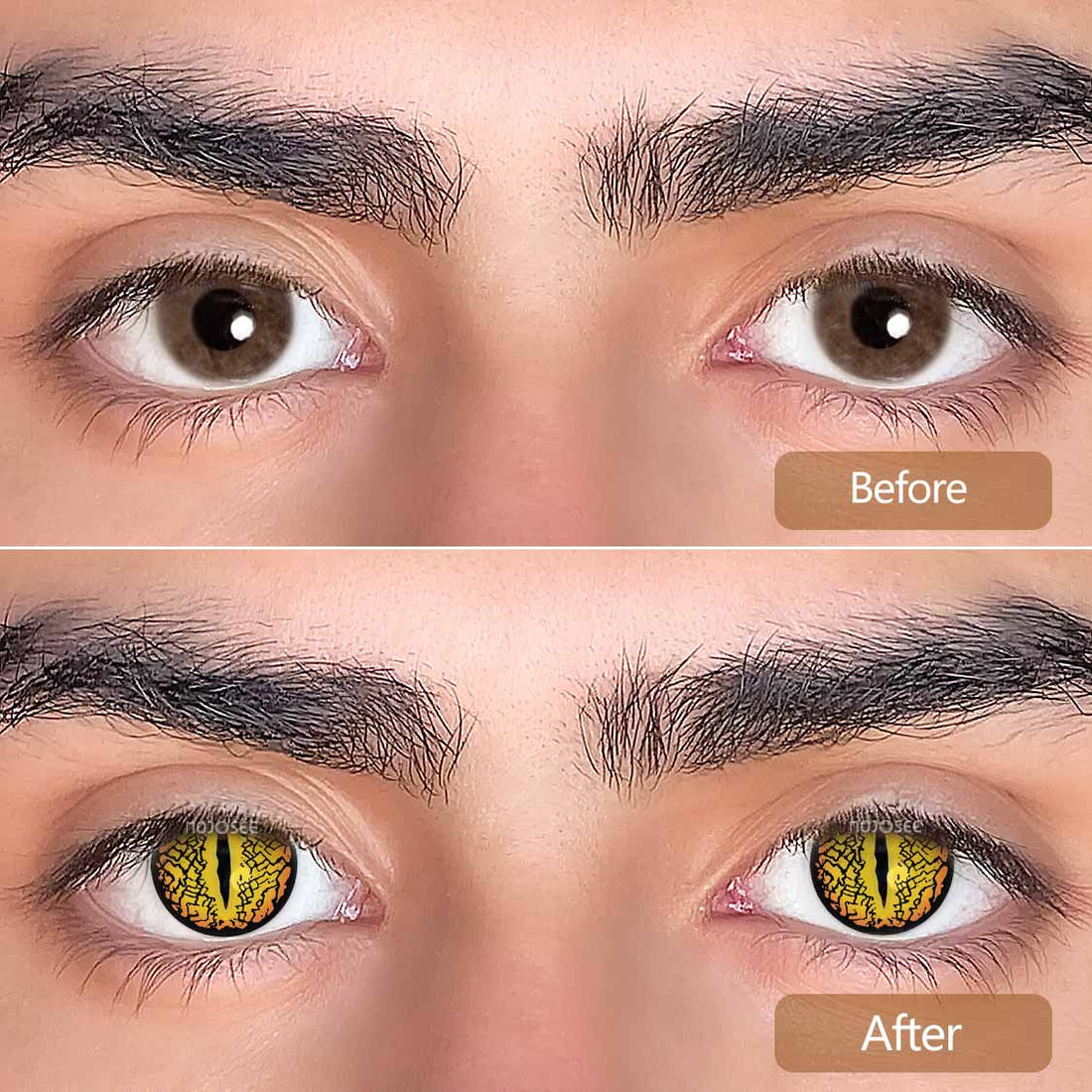 Lizard Eye Brown Colored Contact Lenses for Men