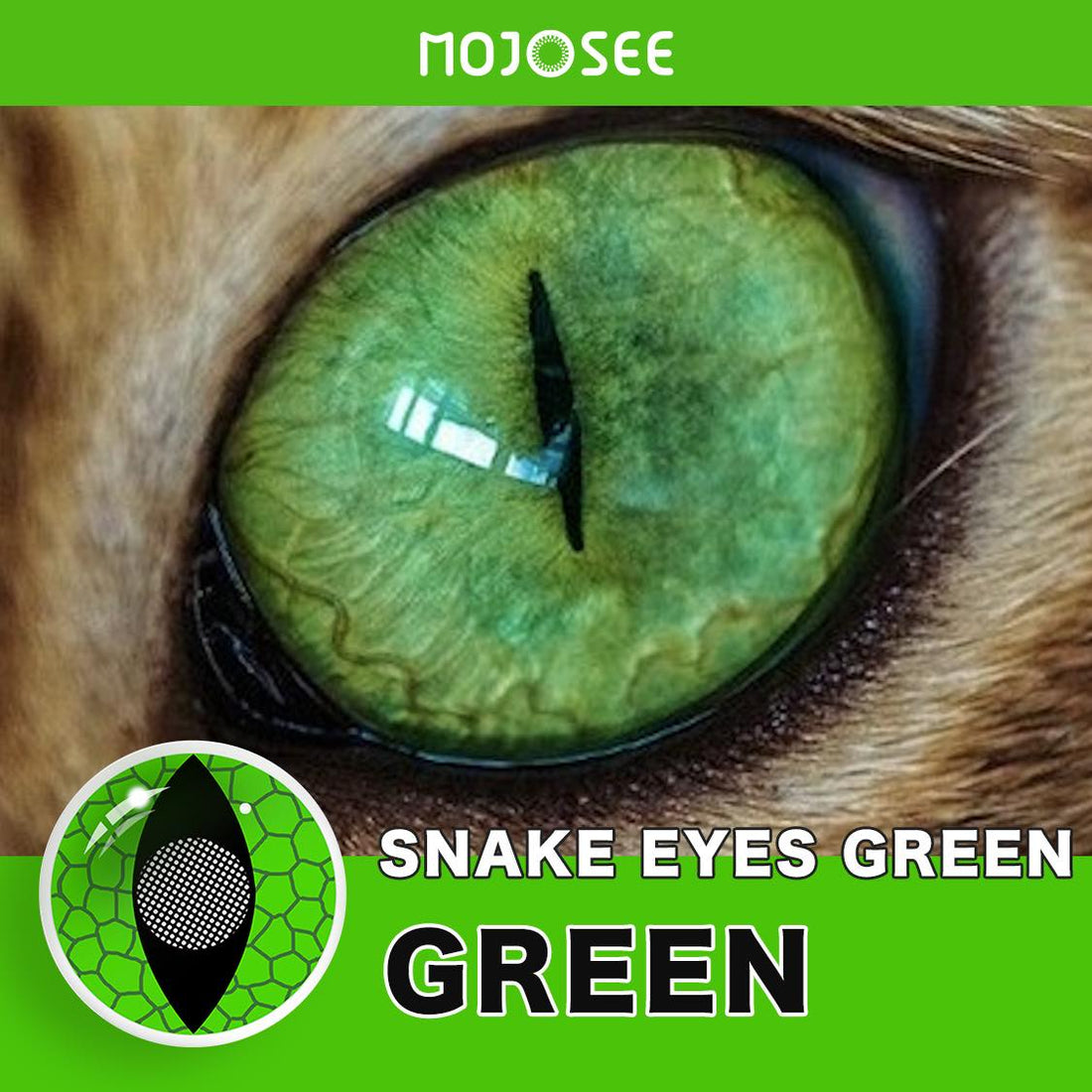 Cat Eyes Snake Green Colored Contacts Colored Contact Lenses