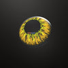 Vika Tricolor Brown-b Colored Contact Lenses