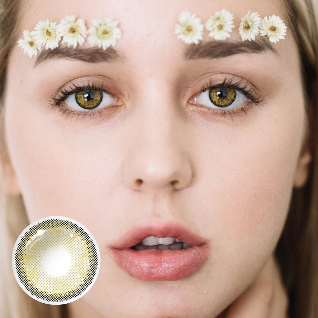 Gem Brown Colored Contact Lenses