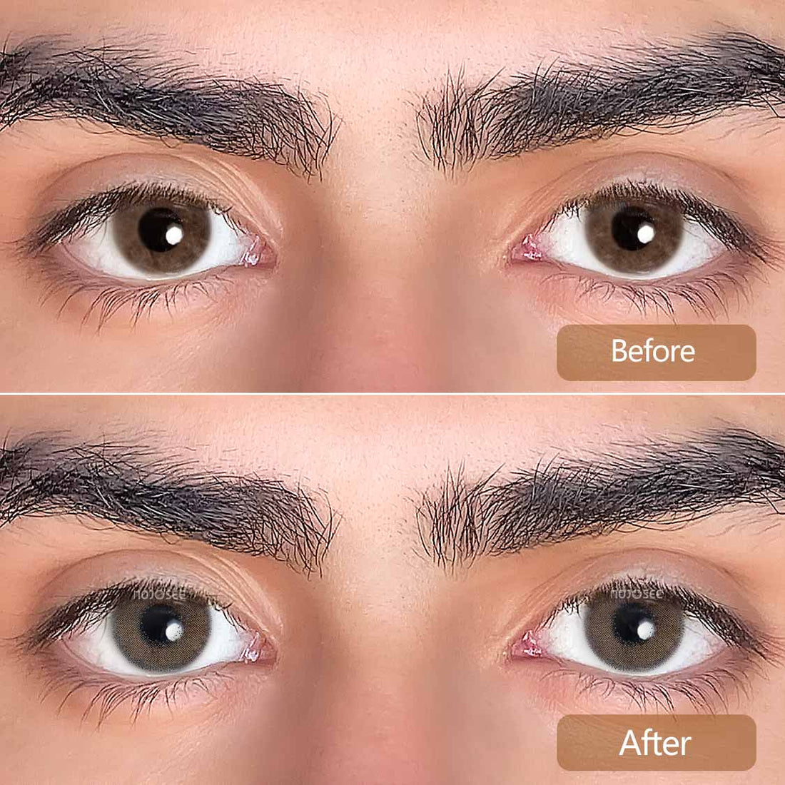 Athena Caffe Colored Contact Lenses for Men