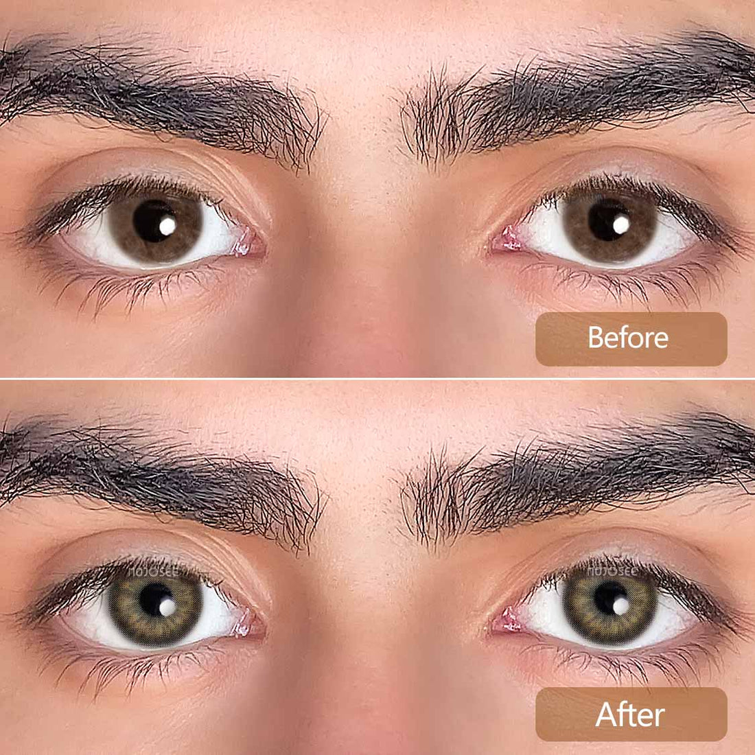 Euphoria Obsession Colored Contact Lenses for Men