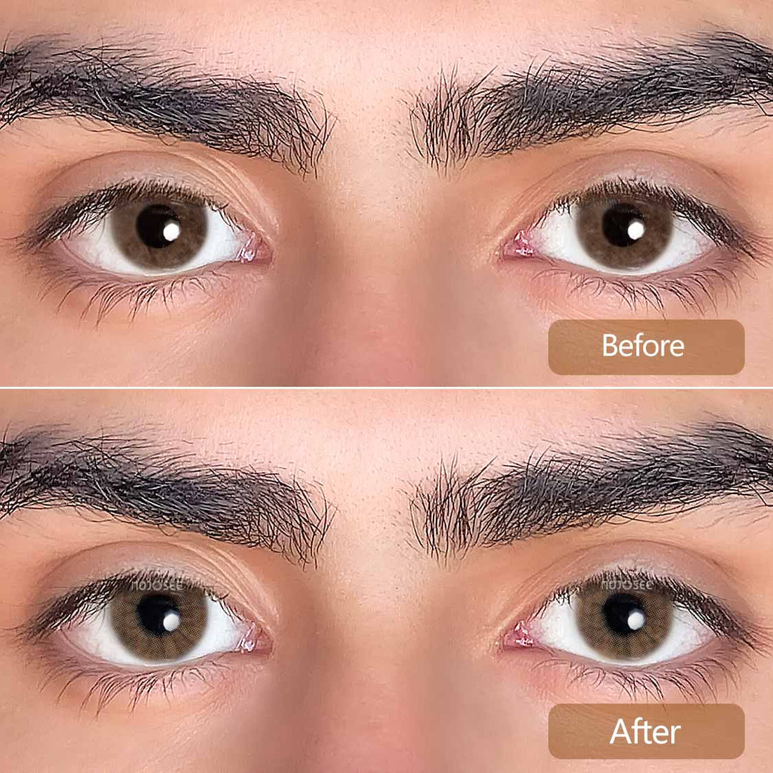 Aurora Avela Colored Contact Lenses for Men