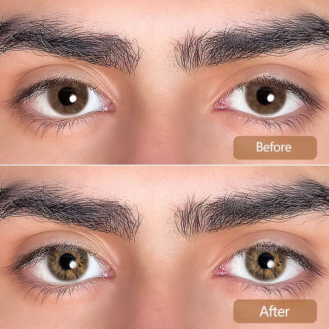 Rococo Royalty Contact Lenses for Men