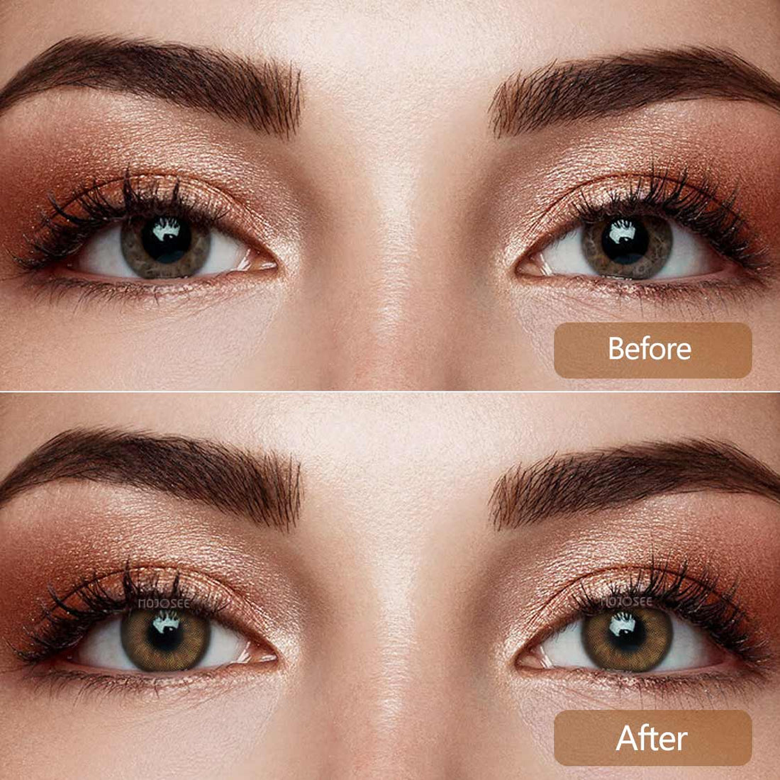 Dolly Raquelle Colored Contact Lenses