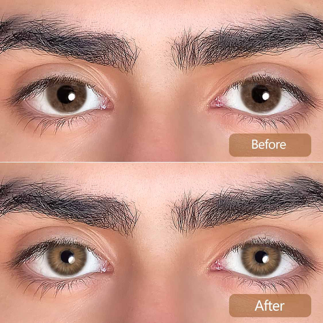 Magnificent Sahara Brown Colored Contact Lenses for Men