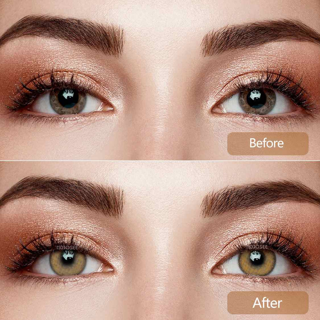 Rainbow Bassia Brown Colored Contact Lenses
