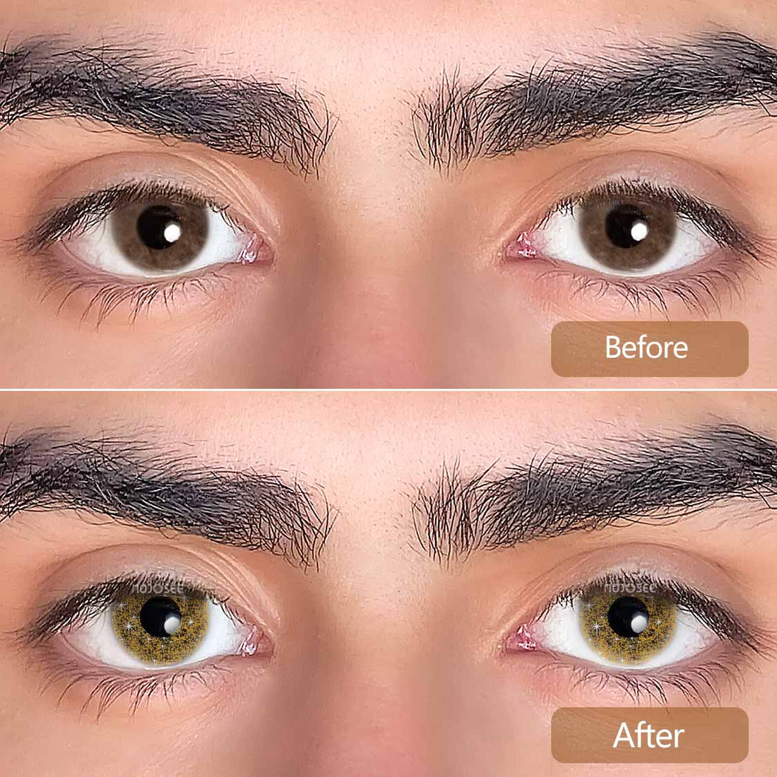 Blink Brown Colored Contact Lenses for Men