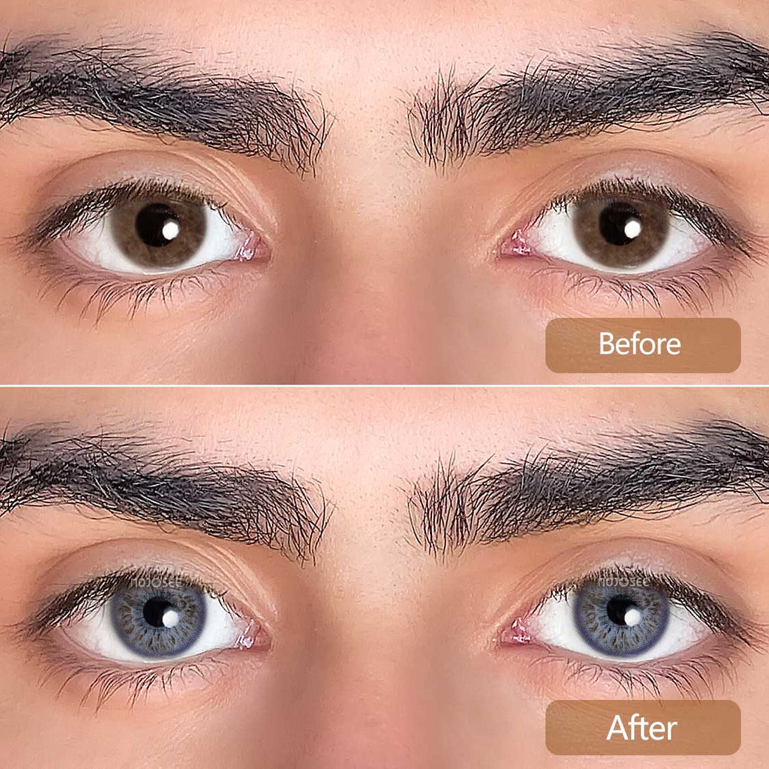 Rococo Flirting Contact Lenses Colored Contact Lenses for Men