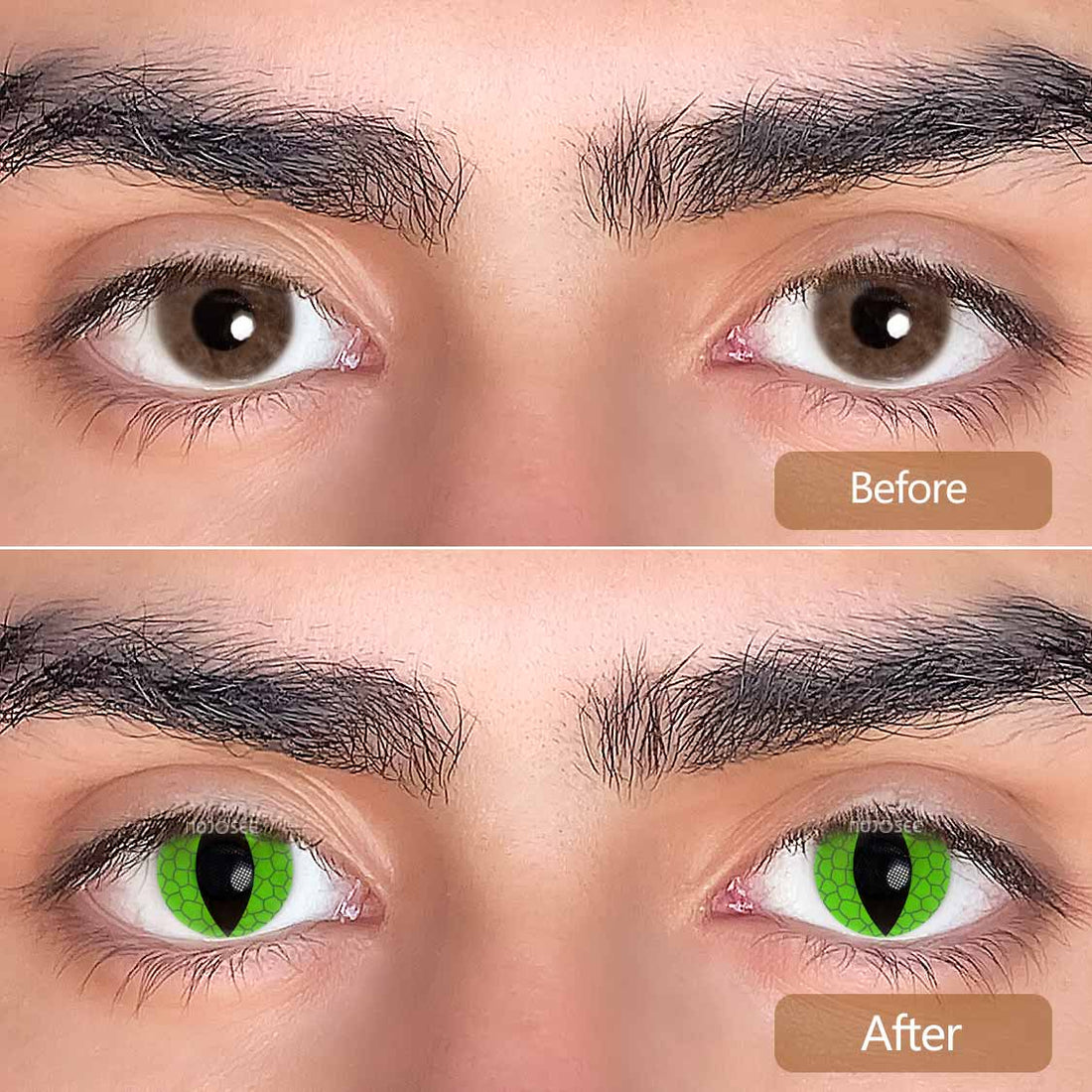 Cat Eyes Snake Green Contacts Colored Contact Lenses