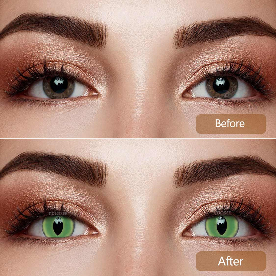 British Shorthair Green Colored Contact Lenses