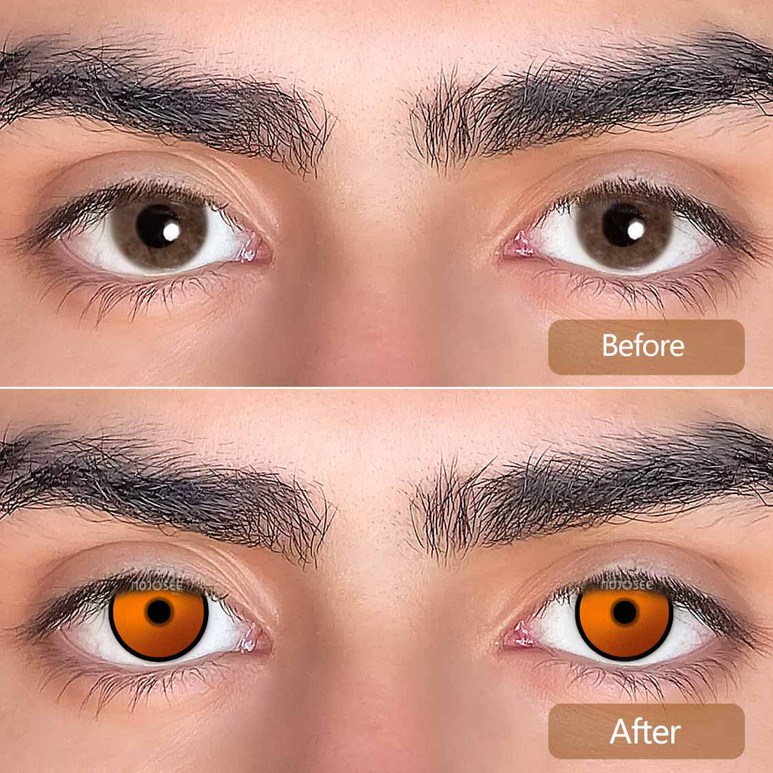 Maple Colored Contact Lenses for Men