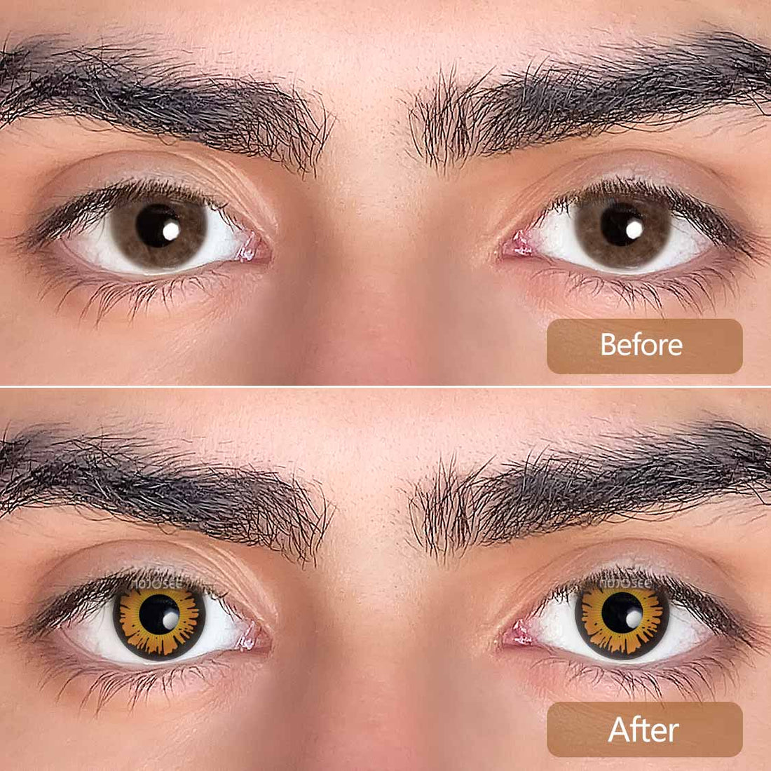 Sun moon Wilight Bella Colored Contact Lenses for Men