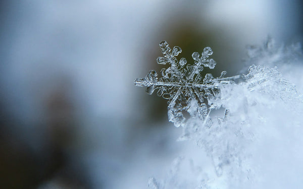 macro photograph of a single snowflake crystal