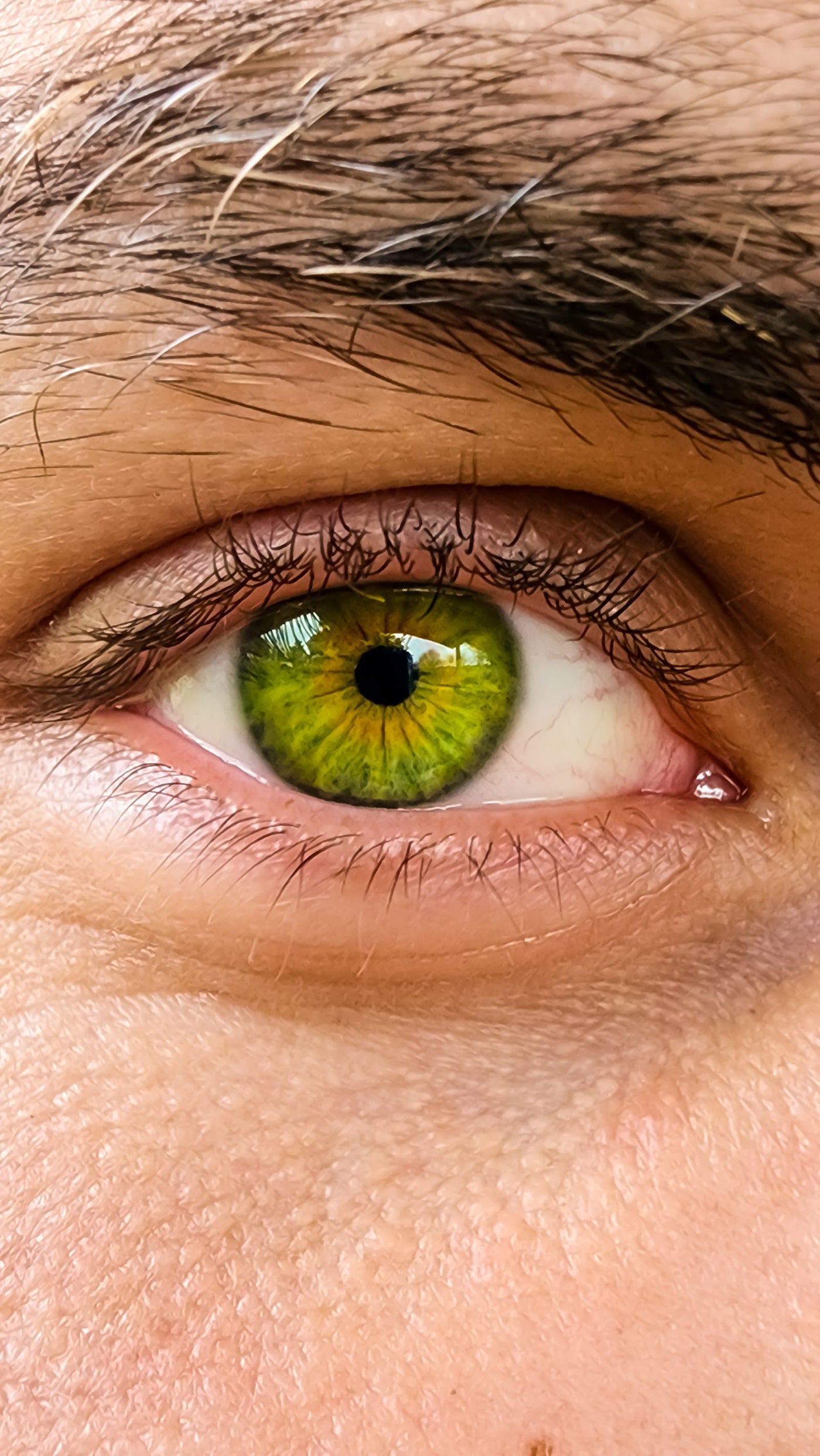 Detailed close-up of a human green eye and iris