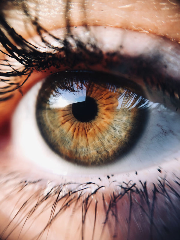 Detailed close-up of a hazel-brown human eye