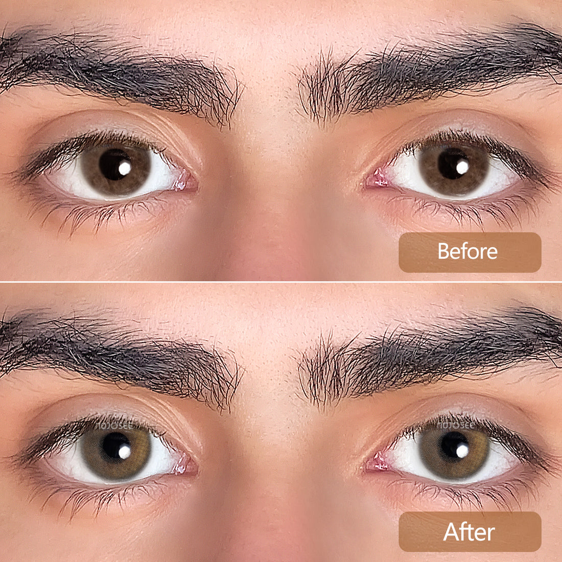 Skylark Dream Colored Contact Lenses for Men