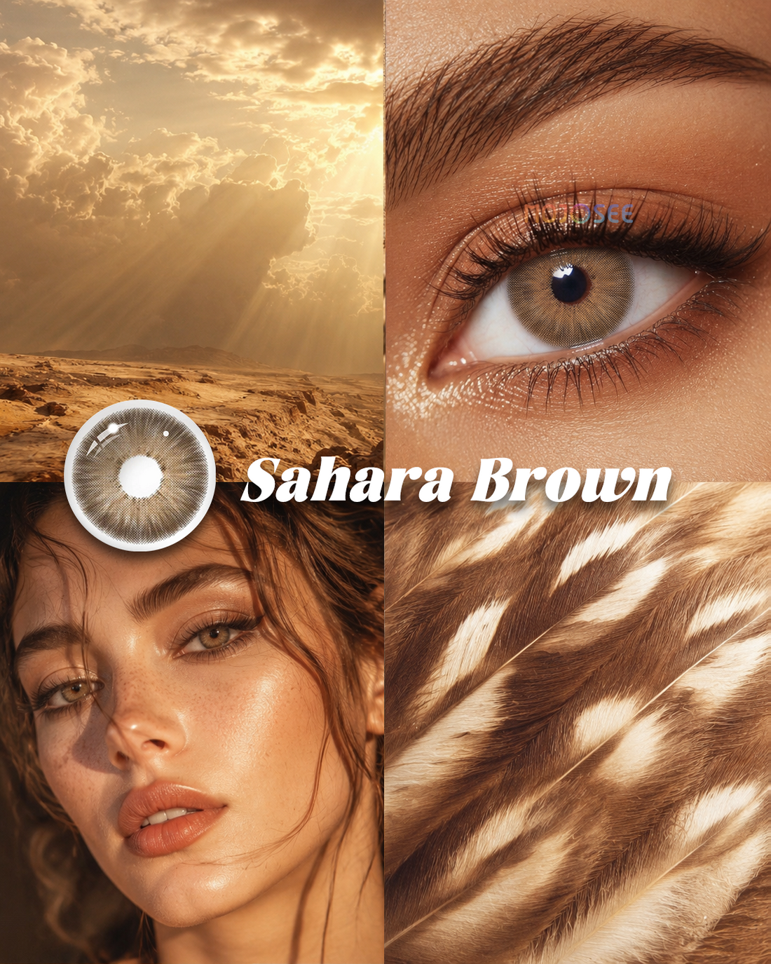 Sahara Brown colored contact lenses worn on eye – Mojosee