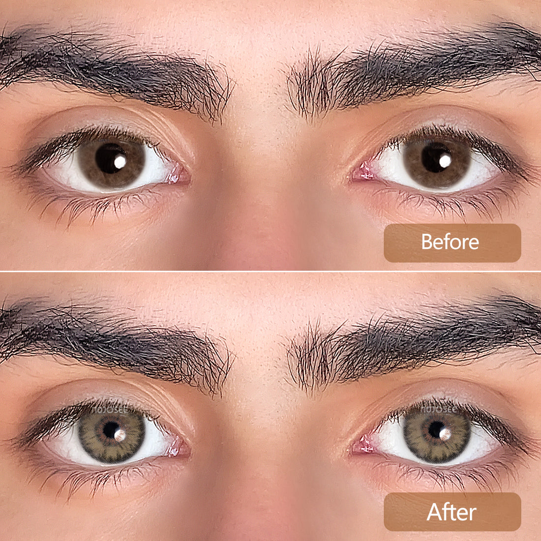Siri Brown Colored Contact Lenses for Men