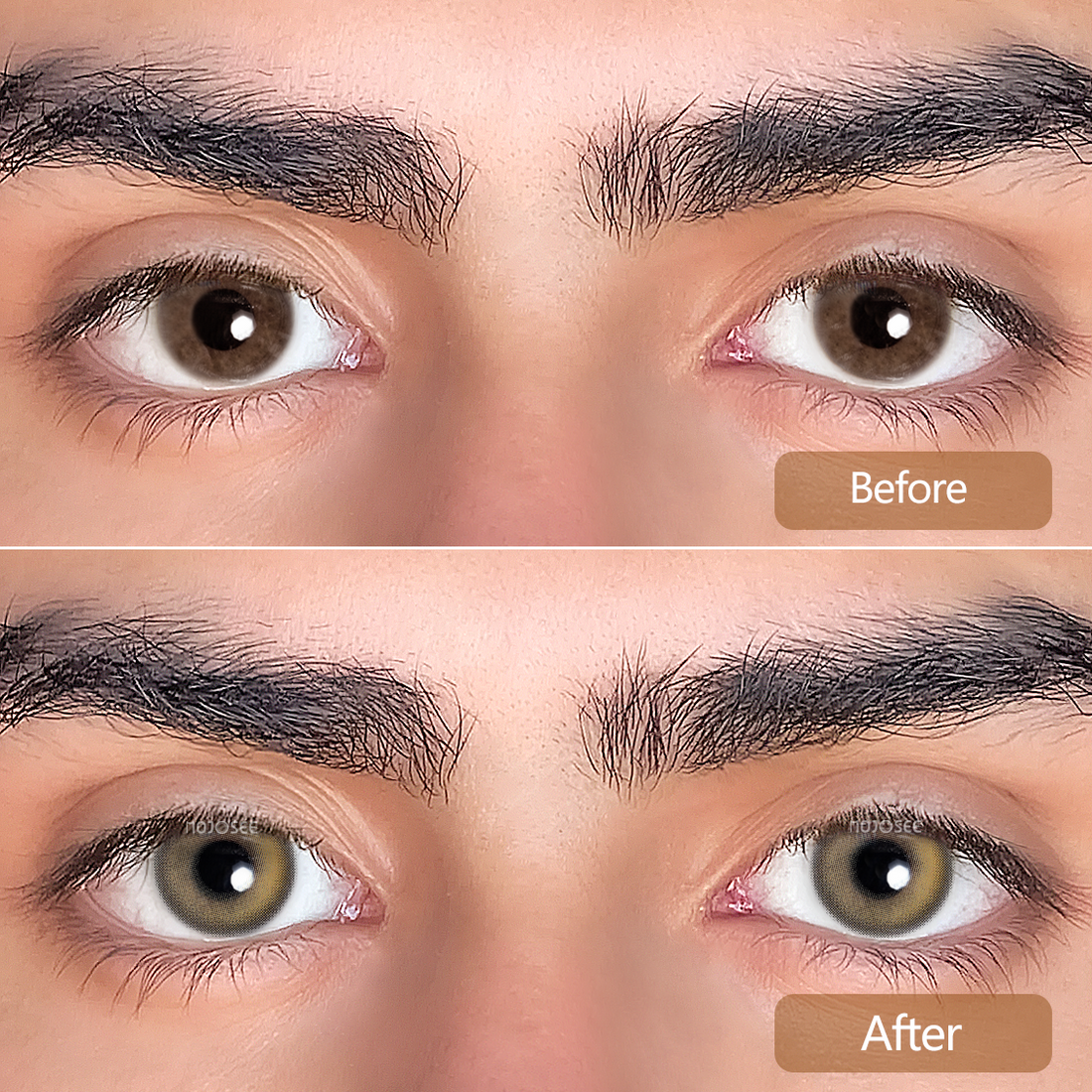 Caramel Pudding Brown Colored Contact Lenses for Men