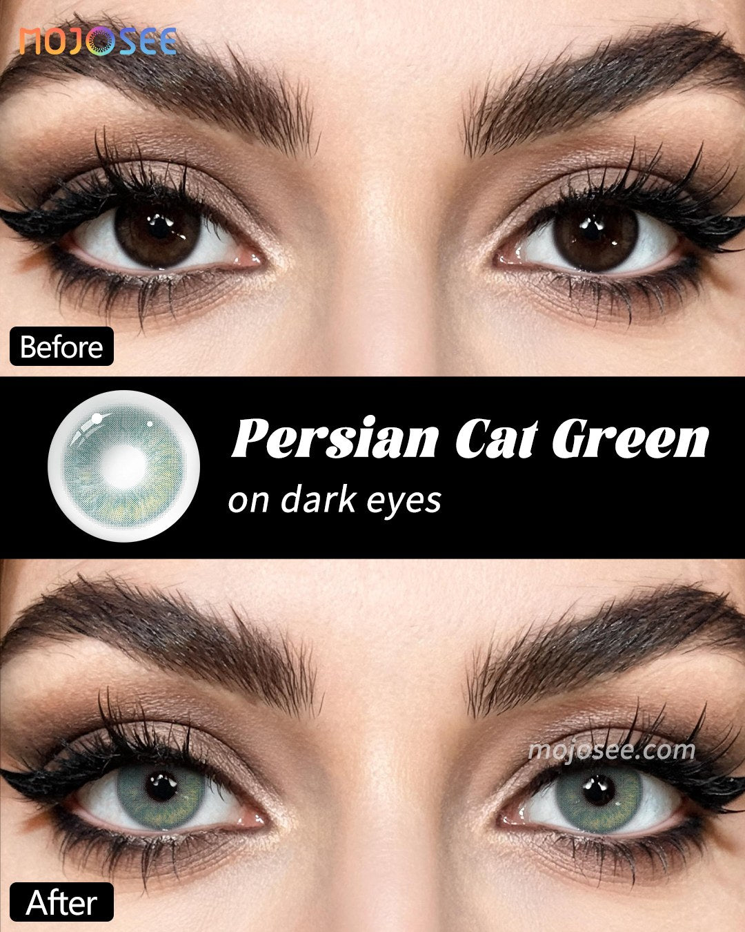 Persian Cat Green Colored Contact Lenses — look 1