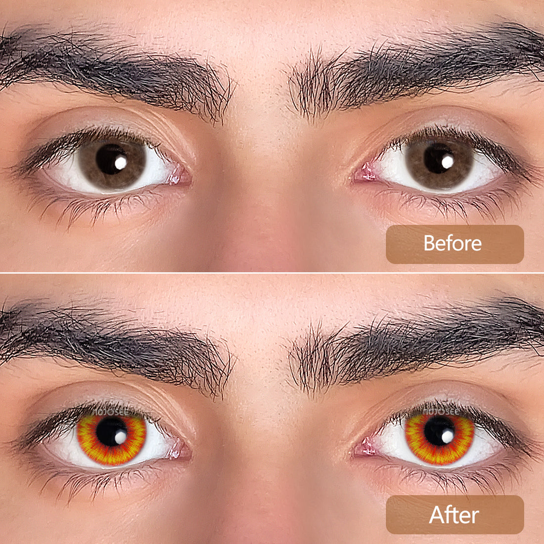 Wolf Eyes Colored Contact Lenses