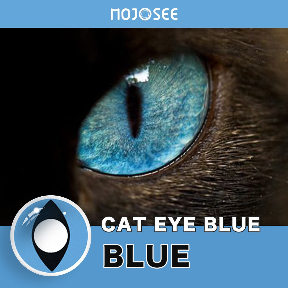 Cat Eyes Colored Contacts Colored Contact Lenses