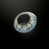 Daily Disposable Dna Taylor Blue Gray Colored Contact Lenses