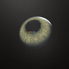 Himalaya Brown Colored Contact Lenses