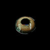 Rainbow Iris Brown Colored Contact Lenses