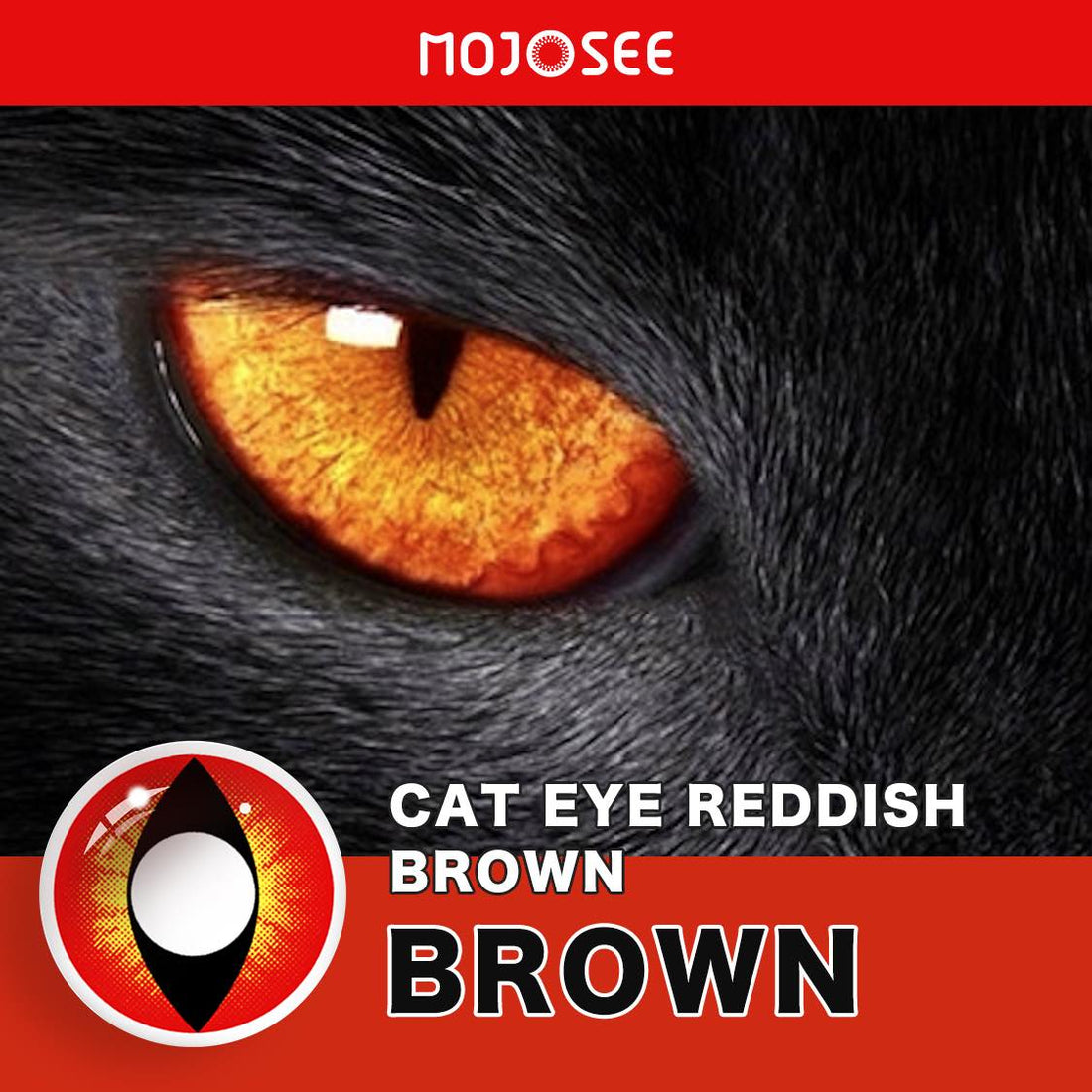 Cat Eyes Colored Contacts Colored Contact Lenses
