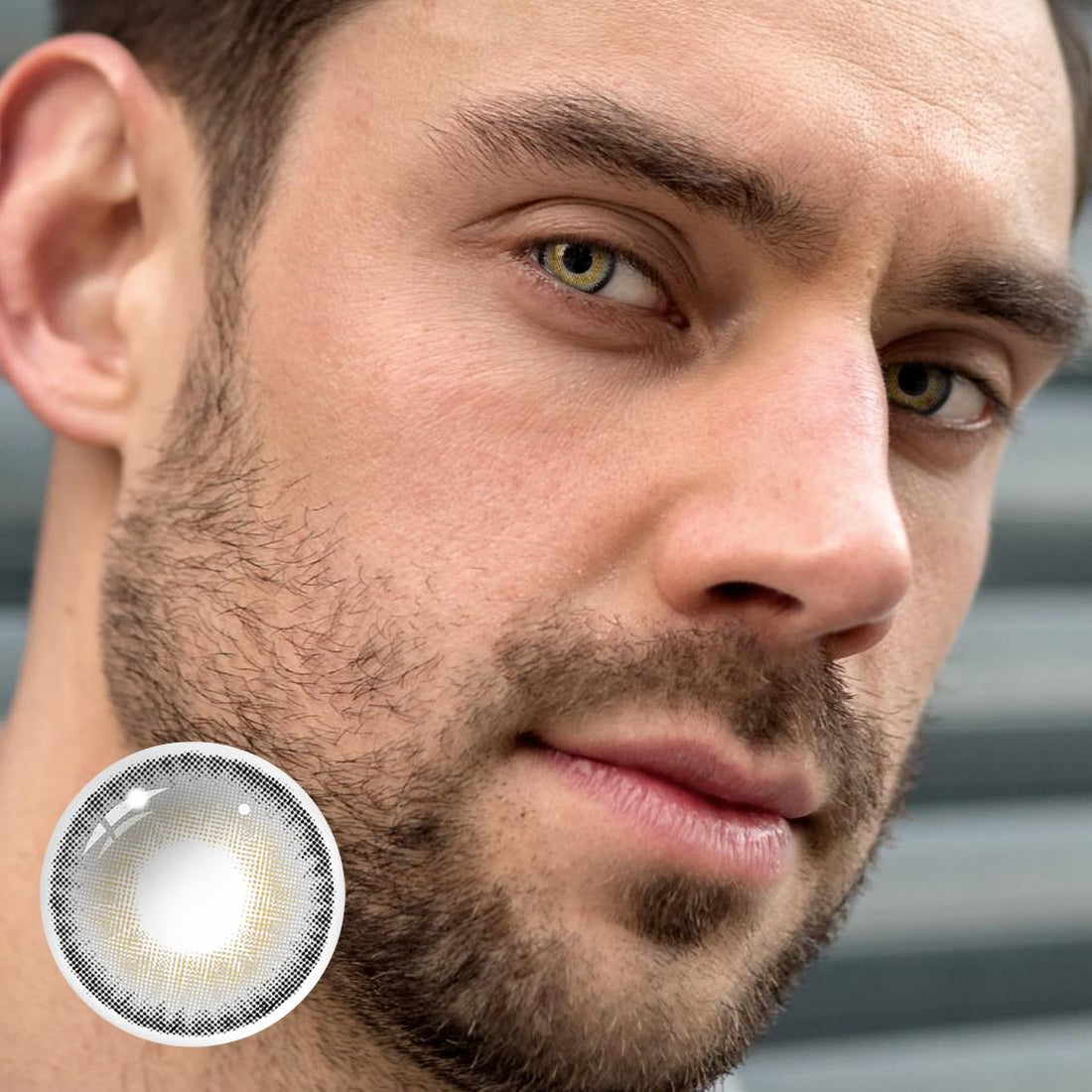 Hokkaido LA GIRL Gray Colored Contact Lenses for Men