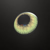 Daily Disposable LA GIRL Green Colored Contact Lenses