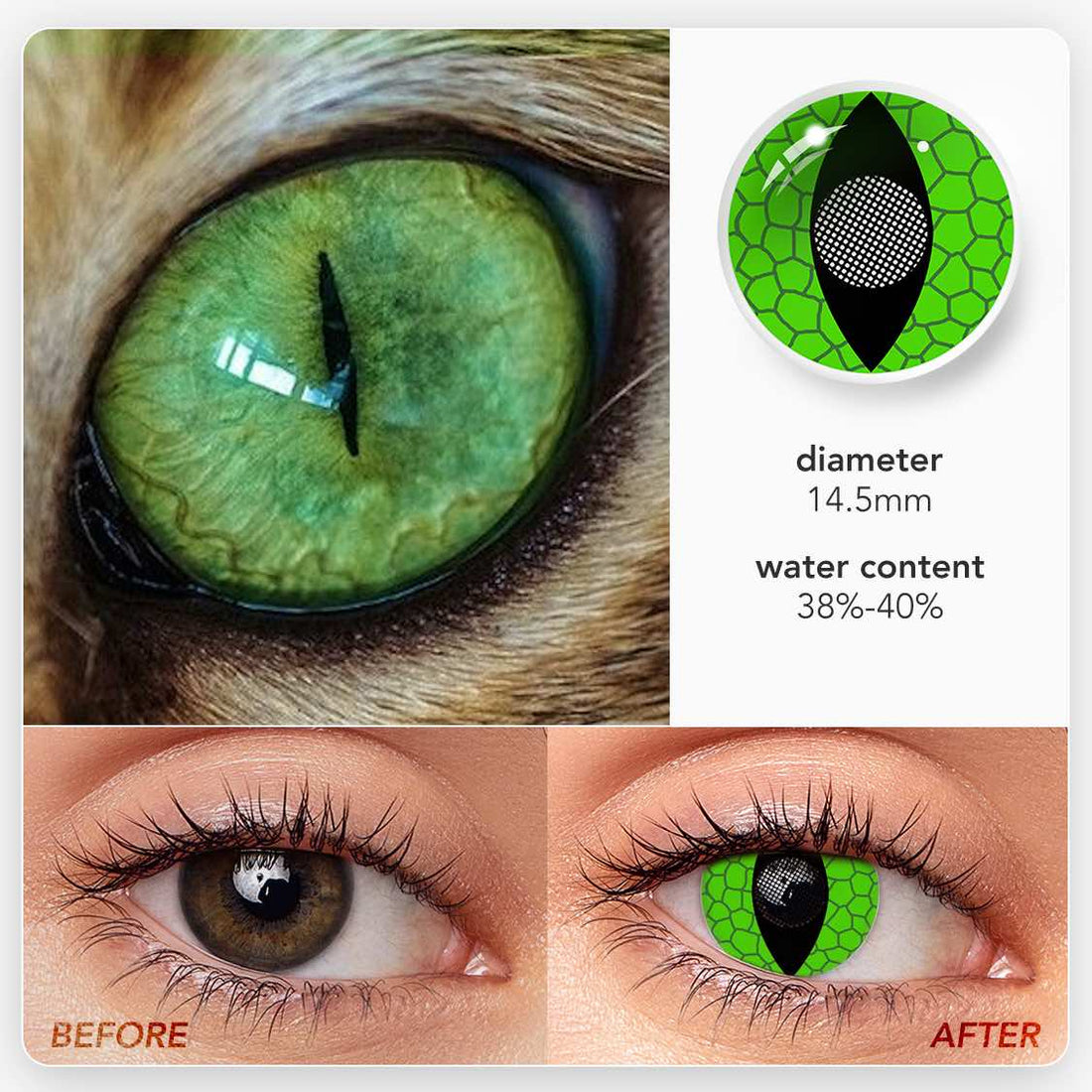 Cat Eyes Colored Contacts Colored Contact Lenses