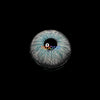 New York N Gray Contact Lenses
