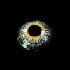 MOCHA Forest Swan Contact Lenses