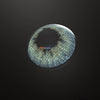 Daily Disposable Whale Colored Contact Lenses