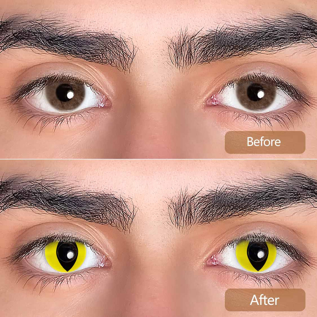 Yellow Cat Eye Colored Contact Lenses for Men