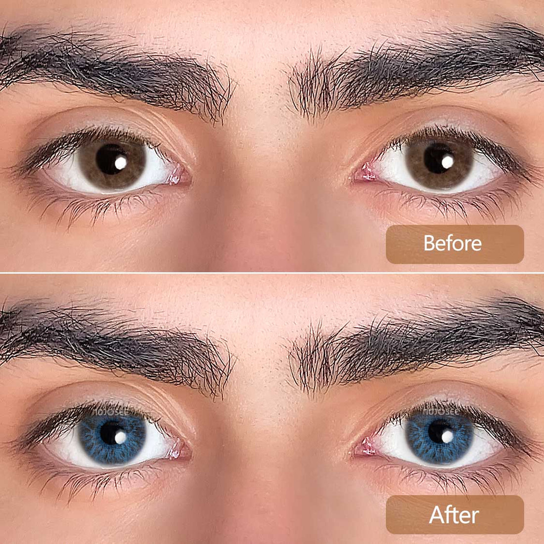 Rococo Passion Contact Lenses Colored Contact Lenses for Men