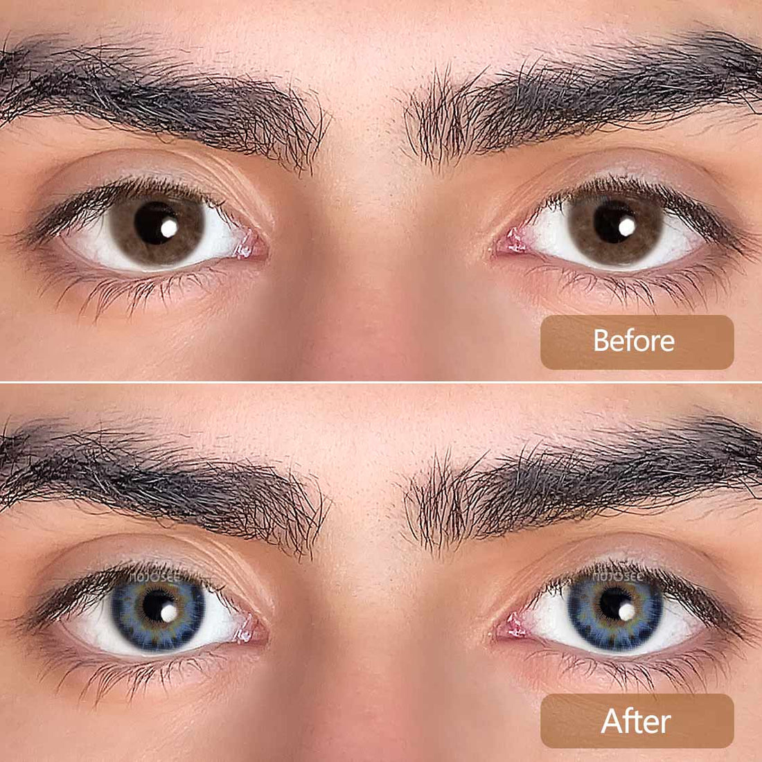 Rococo Royalty Contact Lenses Colored Contact Lenses for Men